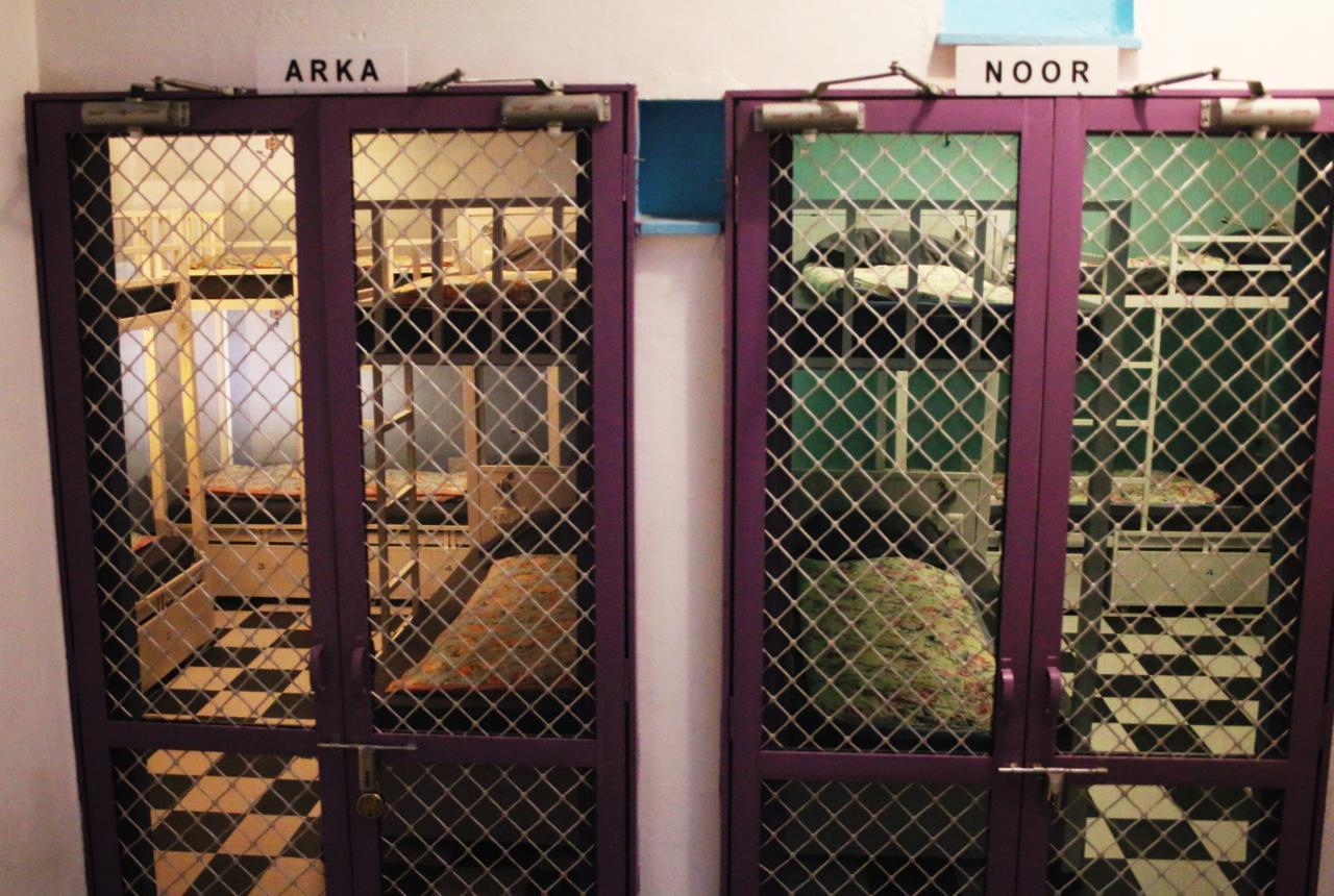 Gypsy Child Lake Hostel Udaipur Extérieur photo
